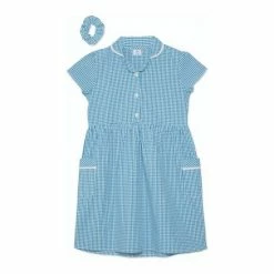 M&Co Blue BTS Gingham Dress -M&Co shop unnamed file 1601