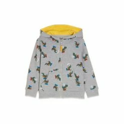 M&Co Grey Dinosaur Skateboard Hoodie -M&Co shop unnamed file 2750